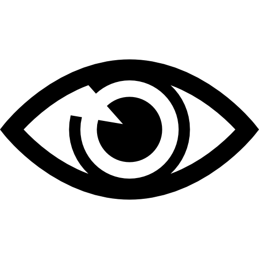 Vision Icon